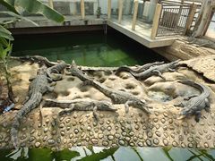 -石家庄市动物园