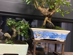 -万达广场(广阳店)