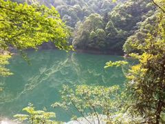 -祁门牯牛降观音堂风景区