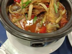 -金龙寨(龙城路店)