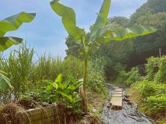 -亮河湾山庄