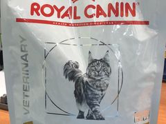 -荔康动物医院(康王北路店)