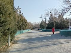 -绿堤公园