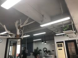 -FC·fashion creativity