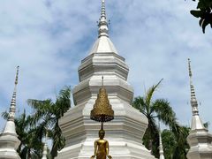 -西双版纳傣族园