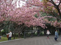 -苏州河梦清园环保主题公园