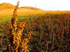 -塞罕坝国家级自然保护区