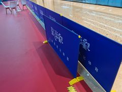 -佰德观岚记羽毛球馆