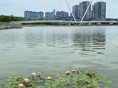 -映月湖中央公园