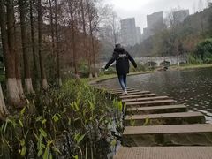 -重庆彩云湖湿地公园