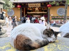 -龙华素斋(龙华路店)
