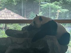 -云南野生动物园