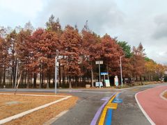 -上海长兴岛郊野公园