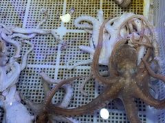 -澜悦港海鲜体验主题餐厅