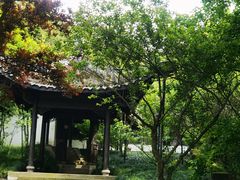 -达蓬山旅游度假区