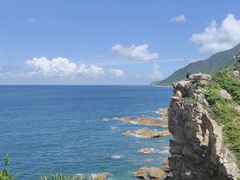 -杨梅坑