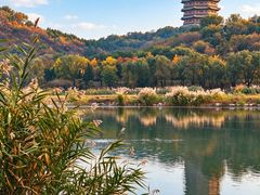 -永定河休闲森林公园