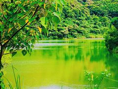 -黄埔油麻山森林公园