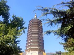 -八大处公园