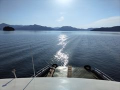 -千岛湖东南湖区