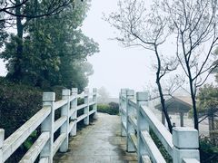 -广州市帽峰山景区