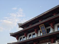 -金城公园