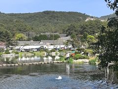 -溪口-滕头旅游景区