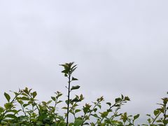 -火炉山森林公园