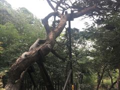 -崂山仰口游览区