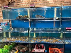 -百年银屏蚝烙·潮汕菜·非遗(乐山店)