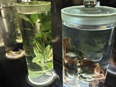 -广东中医药博物馆