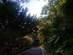 -金鸡山公园