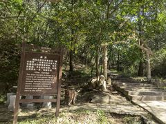 -金龙寺国家森林公园