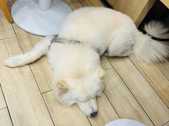 -OZ cafe(南昌路店)