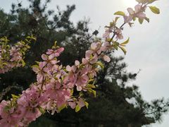 景点-居庸关长城