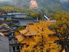 -溪口-滕头旅游景区