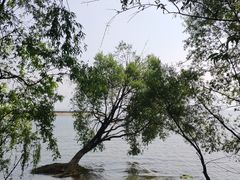 -大理洱海