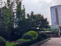-合景·悠方(成都店)