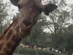 -石家庄市动物园