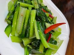 -苗氏卷子鸡(张掖金鸿大厦店)