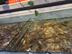 -川骄海鲜自助(河东店)