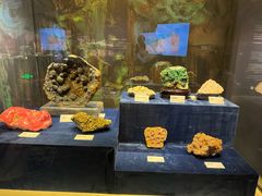 -国家自然博物馆