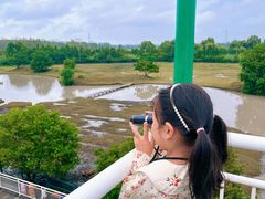 -溱湖国家湿地公园