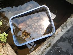 -万景饭店·鱼街农家菜