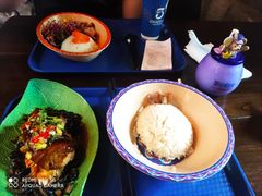 餐饮设施-上海迪士尼度假区