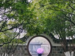 -八大山人梅湖景区