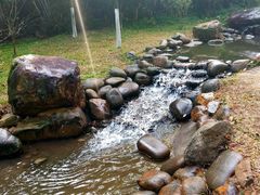 -火炉山森林公园