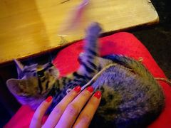 -在路上酒吧(大理古城店)