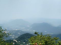 -鲁山国家森林公园