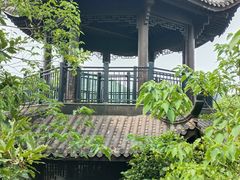 -杭州半山国家森林公园